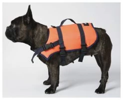 Besto Vest Dog Jacket L -Équipement De Surf besto vest dog jacket l orange black 1