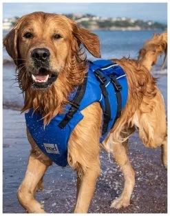 Red Paddle Co. Red Paddle Co Dog Buoyancy Aid -Équipement De Surf red paddle co dog buoyancy aid blue xs 330 480 mm blue 6