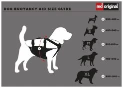 Red Paddle Co. Red Paddle Co Dog Buoyancy Aid -Équipement De Surf red paddle co dog buoyancy aid xs 330 480 mm red 1