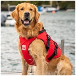 Red Paddle Co. Red Paddle Co Dog Buoyancy Aid -Équipement De Surf red paddle co dog buoyancy aid xs 330 480 mm red 2