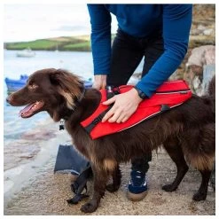 Red Paddle Co. Red Paddle Co Dog Buoyancy Aid -Équipement De Surf red paddle co dog buoyancy aid xs 330 480 mm red 3