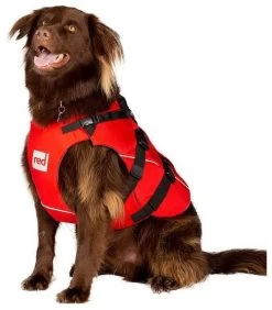 Red Paddle Co. Red Paddle Co Dog Buoyancy Aid -Équipement De Surf red paddle co dog buoyancy aid xs 330 480 mm red 4